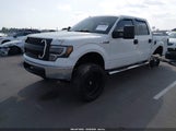 Ford F-150 Fx2 Sport/Xl/Xlt 1FTEW1C89AKA76849 photo