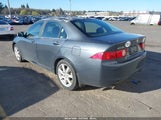 Acura Tsx JH4CL95925C024787 снимка