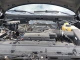 Ford F-150 Platinum 1FTFW1EF3EFC69996 снимка