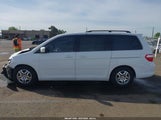 Honda Odyssey Ex-L 5FNRL38797B447858 снимка