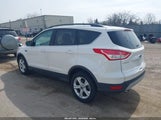 Ford Escape Se 1FMCU0GX1EUC28637 снимка