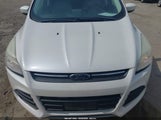 Ford Escape Se 1FMCU0GX1EUC28637 снимка