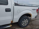 Ford F-150 Xlt 1FTFW1EF6EKG44500 снимка