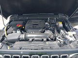 Jeep Wrangler Sahara 4X4 1C4PJXENXTW177987 fotografie