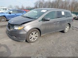 Honda Odyssey Ex-L 5FNRL5H68FB131420 снимка