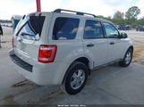 Ford Escape Xlt 1FMCU0D76BKA91156 снимка