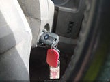 Miniaturka zdjęcia 11