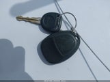 Miniaturka zdjęcia 11