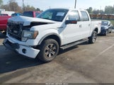 Ford F-150 Fx4 1FTFW1ET4EFC50461 снимка