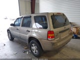 Ford Escape Xls 1FMYU01181KA25261 снимка