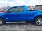 Ford F-150 Xlt 1FTFX1CT5DFC96461 снимка