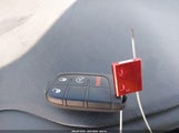 Miniaturka zdjęcia 11