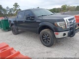 Ford F-150 Fx4/Harley-Davidson/King Ranch/Lariat/Platinum/Xl/Xlt 1FTFW1EV6AFD70001 photo