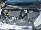 Miniaturka zdjęcia 10