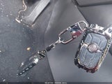Miniaturka zdjęcia 11