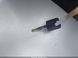 Miniaturka zdjęcia 11