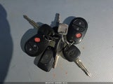 Miniaturka zdjęcia 11