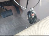 Miniaturka zdjęcia 11