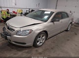 Chevrolet Malibu Ls 1G1ZB5EB3AF131861 снимка