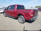 Ford F-150 Xlt 1FTEW1EF5FKE97910 снимка