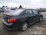 Toyota Corolla S 1NXBU4EE8AZ366884 снимка