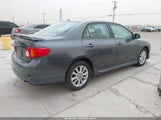 Toyota Corolla S 2T1BU4EE8AC299446 снимка