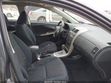 Toyota Corolla S 2T1BU4EE8AC299446 снимка