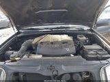 Miniaturka zdjęcia 10