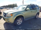 Ford Escape Hybrid 1FMCU59HX8KB10539 снимка