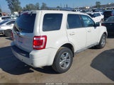 Ford Escape Limited 1FMCU0E76AKB63003 fotografie