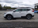 Honda Cr-V Lx 2HKRW6H30KH234376 снимка