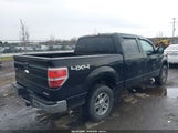 Ford F-150 Xlt 1FTFW1EF8DFC36071 снимка