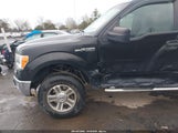 Ford F-150 Xlt 1FTFW1EF8DFC36071 снимка