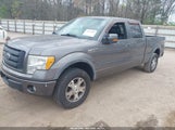 Ford F-150 Fx4/Harley-Davidson/King Ranch/Lariat/Platinum/Xl/Xlt 1FTFW1EV5AFD46899 fotografie