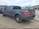 Ford F-150 Fx4/Harley-Davidson/King Ranch/Lariat/Platinum/Xl/Xlt 1FTFW1EV5AFD46899 fotografie