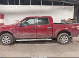 Ford F-150 Xlt 1FTFW1EF4EKE56056 снимка