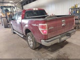 Ford F-150 Xlt 1FTFW1EF4EKE56056 снимка