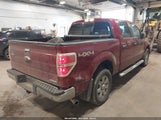 Ford F-150 Xlt 1FTFW1EF4EKE56056 снимка