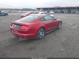 Ford Mustang Ecoboost 1FA6P8TH2H5219777 снимка