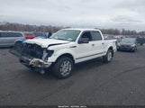 Ford F-150 Platinum 1FTFW1EF4DFA27734 снимка
