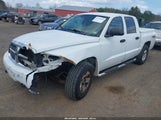 Dodge Dakota Slt 1D7HW48P27S180189 снимка