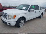 Ford F-150 Fx2 Sport/Harley-Davidson/King Ranch/Lariat/Platinum/Xl/Xlt 1FTFW1CV3AKE79283 снимка