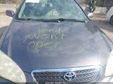 Toyota Corolla Le 1NXBR30E16Z608814 снимка