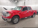 Ford F-150 Xlt 1FTFW1EFXCFA96295 снимка