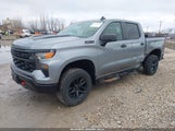 Chevrolet Silverado  4Wd Short Bed Custom Trail Boss 3GCPDCEK6PG218786 снимка