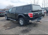 Ford F-150 Xlt 1FTFW1EF7DFD54273 fotografie