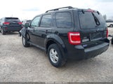 Ford Escape Xlt 1FMCU9D74BKB50659 снимка