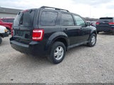 Ford Escape Xlt 1FMCU9D74BKB50659 снимка