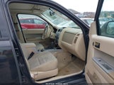 Ford Escape Xlt 1FMCU9D74BKB50659 fotografie