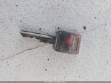 Miniaturka zdjęcia 11